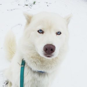 Meet your Posher, Chloe